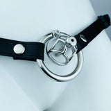 No Escape Chastity Cage with Belt wearing | 3d-chastity