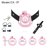 Sissy Cage with Wearable Chastity Cage wearing | 3d-chastity